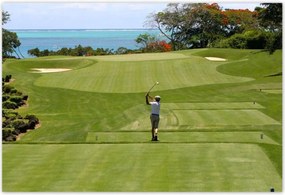 Poszterek 200x135 Golfozó a mezőn