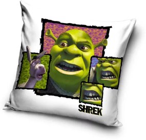 Shrek párnahuzat 40x40 cm Velúr