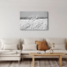 Kép - Strandfű (90x60 cm)