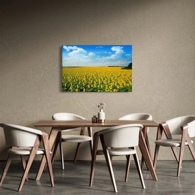 Kép - napraforgó (90x60 cm)