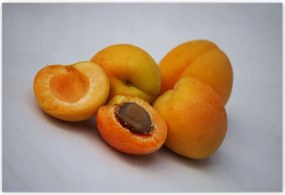 Poszterek 185x125 Sárgabarack Gyümölcsös élvezet