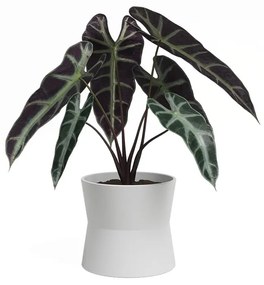 Kerámia virágcserép ø 14 cm Diana – Artevasi