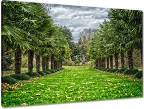 Vászonkép 90x60 Tájkép