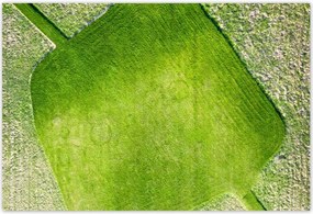 Plakátok 185x125 Grass Field Meadow Road