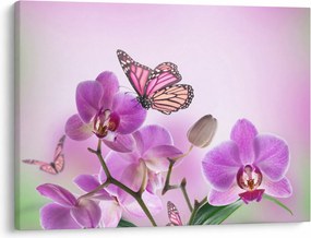 Kép - Pillangó orchidea virágon, lila (70x50 cm)