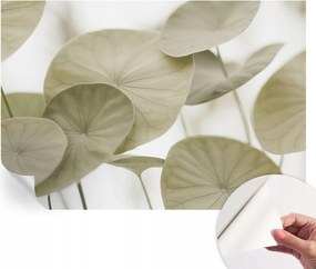 Öntapadós fotótapéta Falra 3D Loft Természetes elegancia 152x104 cm