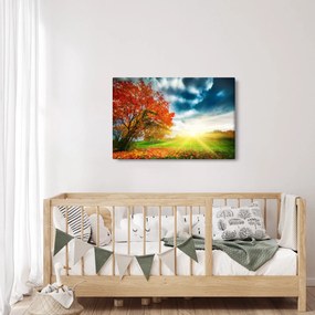 Napsütésben fürdő táj képe (90x60 cm)