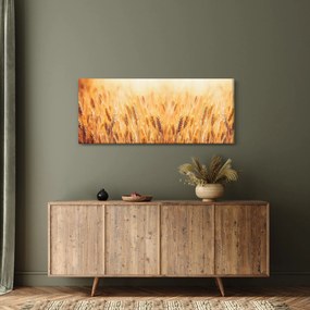 Kép - mező gabonával (120x50 cm)