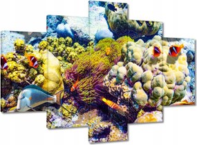 Képek 150x105 Csodálatos víz alatti világ