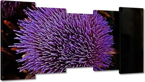 Vászonkép 150x80 Virág Lila Csipkebogyó