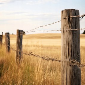 Poszter 50x50cm Kerítés a mezőn