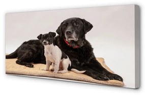 Canvas képek fekvő kutyák 100x50 cm