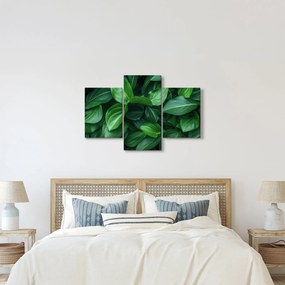 Kép - Zöld levelek (90x60 cm)