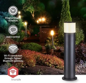 Nedis ZBLOP10RGBW - LED RGBW dimmelhető kültéri lámpa LED/10W/230V IP65 Wi-Fi Tuya fekete