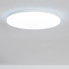 Brilagi - LED Dimmelhető mennyezeti lámpa OPAL LED/24W/230V 3000/4000/6500K + távirányító