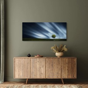 Az aurora borealis képe egy lápvidéken (120x50 cm)