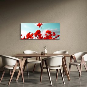 Fényes piros virágokkal rendelkező mező képe (120x50 cm)