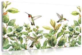 Kép kolibrik és levelek