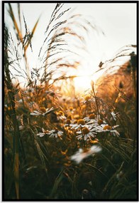 Poszter 50x70 fű rét fotó kép virágok