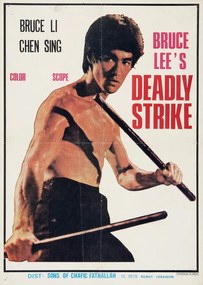 Illusztráció Bruce Lee's Deadly Strike