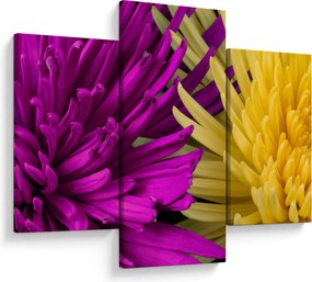 Kép - virág részlet (90x60 cm)