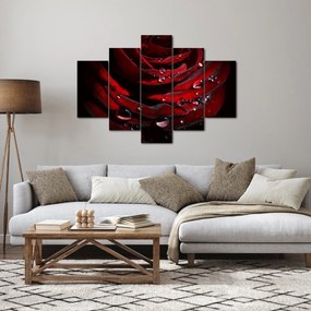 Kép - Rózsa részlete (150x105 cm)