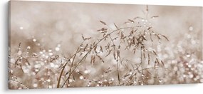 Kép - rét barna árnyalatokban (120x50 cm)