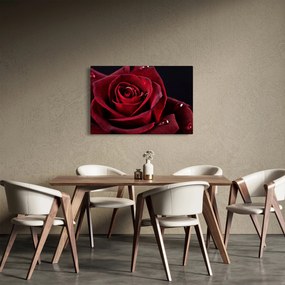 Kép - Vörös rózsa (90x60 cm)