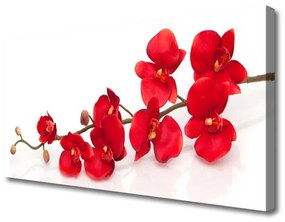 Vászonfotó virágok növények 125x50 cm