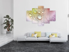 Kép - Harmatcseppek (150x105 cm)