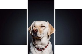 Labrador képe (90x60 cm)