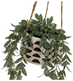 Műnövény (magasság 28 cm) – Casa Selección