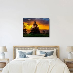 Kép - tűlevelűek (70x50 cm)
