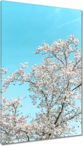 Vászonkép 80x120 Finom virágok Tavasz