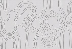Flizelina Dekoratív Fotótapéta Hálószobába Organikus vonalak 152x104 Ragasztó