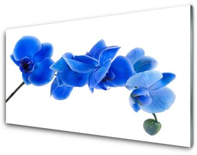 Akrilkép Természet virág növény 125x50 cm