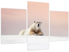 Kép - Jegesmedve (90x60 cm)