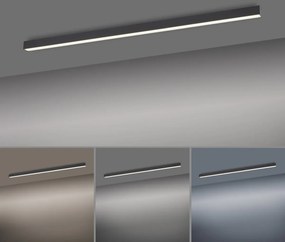 Paul Neuhaus modern mennyezeti lámpa pure-lines antracit pln6021-13