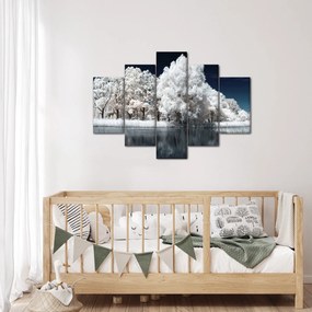 Kép - Hófehér fák (150x105 cm)