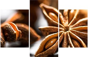 Kép - Anise (90x60 cm)
