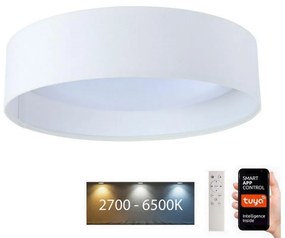 BPS Koncept LED Dimmelhető lámpa SMART GALAXY LED/24W/230V á. 45 cm Wi-Fi Tuya + távirányító BS0599
