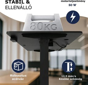 FLEXI állítható magasságú irodai íróasztal, 160x75x72–117cm, fekete Casaria