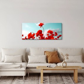 Fényes piros virágokkal rendelkező mező képe (120x50 cm)