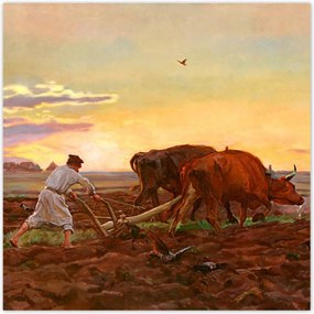 Poszterek 140x140 Csongrád Megyei Orka-mező