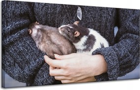 Vászonkép Állatok Rágcsálók 120x60 cm