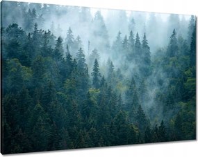 Vászonkép 100x70 Erdő a ködben Utazás