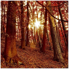 Poszterek 30x30 Tájkép Látvány