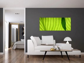 Kép - Zöld levél részlete (120x50 cm)