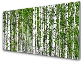 Akrilüveg fotó Nyírfa erdő Természetvédelmi 120x60 cm