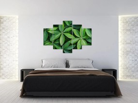Kép - Levelek harmatcseppekkel (150x105 cm)